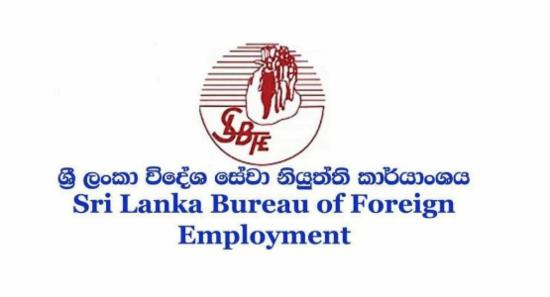 Probe Launched To Arrest Foreign Job Racketeers